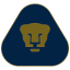 2. Pumas UNAM